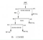 鉬礦粗精礦再磨項目案例